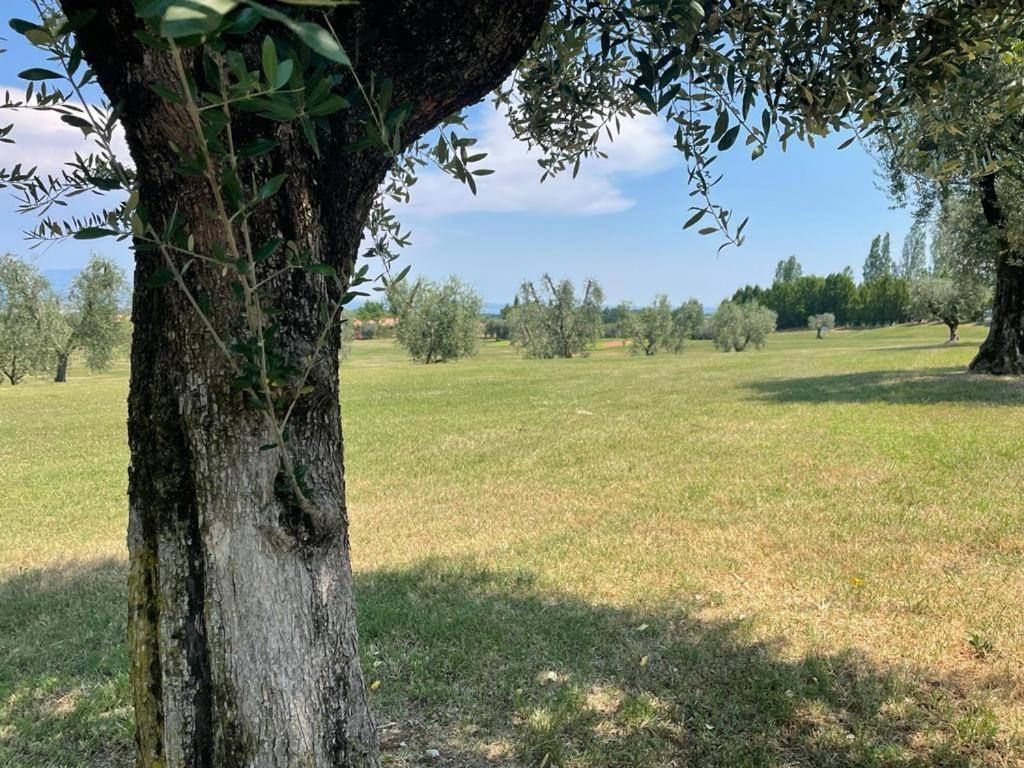Garda Golf Country Chic Home Soiano Del Lago Buitenkant foto